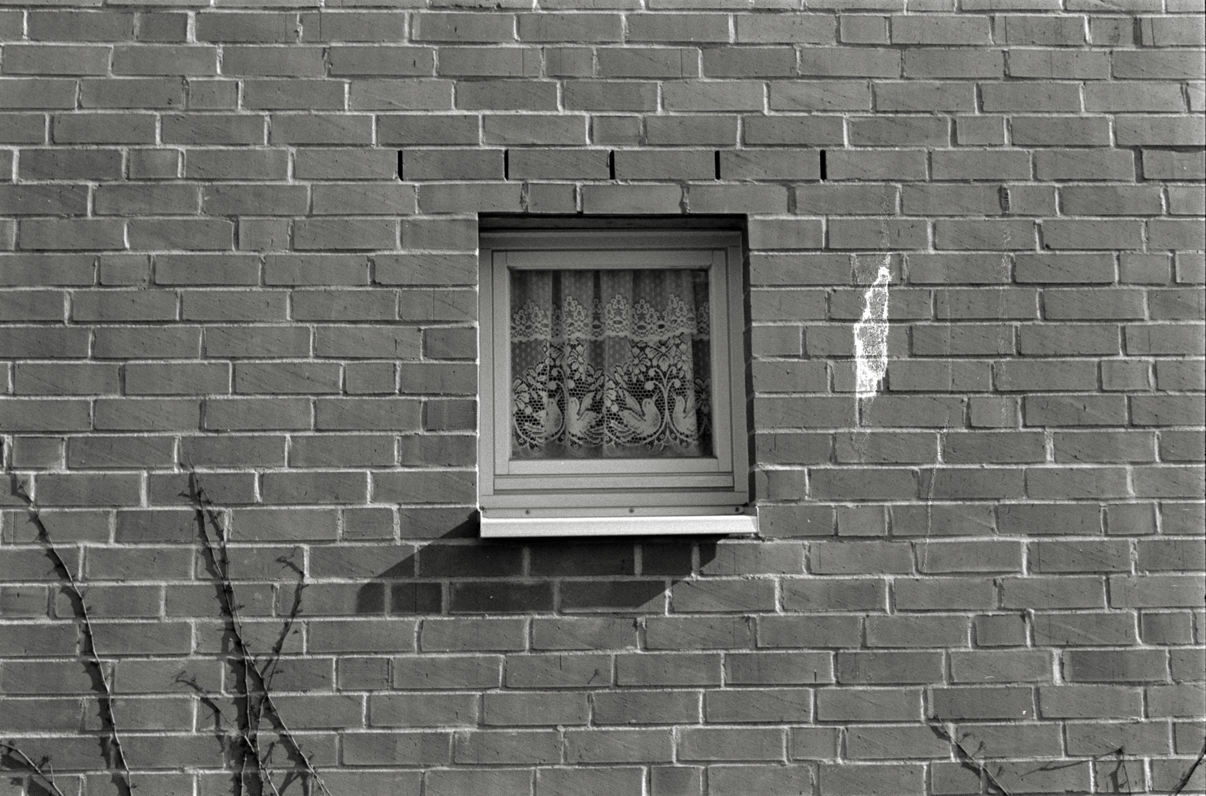 AHP F1993 03 006 sc240902 img27 NLP